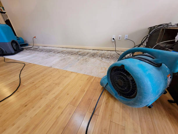 Professional Flood Damage Cleanup technician working in Conley, GA